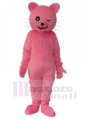 Chat costume de mascotte