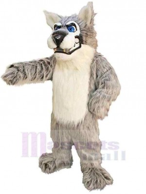 Loup alpha gris féroce Costume de mascotte Animal