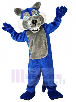 Loup bleu Costume de mascotte Animal avec ventre gris