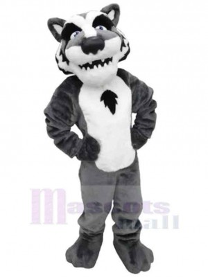 Loup gris et blanc universitaire Costume de mascotte Animal