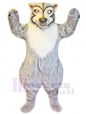 Loup gris fort mignon Costume de mascotte Animal avec ventre blanc