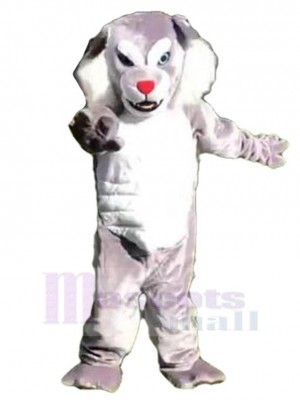 Loup gris et blanc Costume de mascotte Animal avec nez rouge
