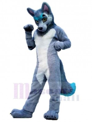 Loup gris et blanc Costume de mascotte Animal avec queue bleue