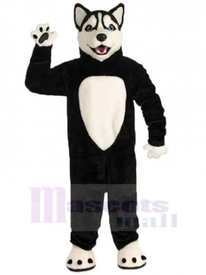 Loup noir heureux Costume de mascotte Animal avec ventre blanc