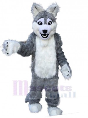 Drôle de long loup gris Déguisement Mascotte Animal Adulte