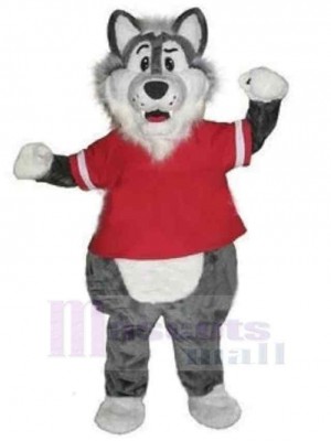 Joli loup gris Costume de mascotte Animal en vêtements rouges