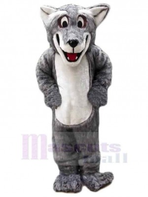 Loup coyote en peluche comique Costume de mascotte Animal