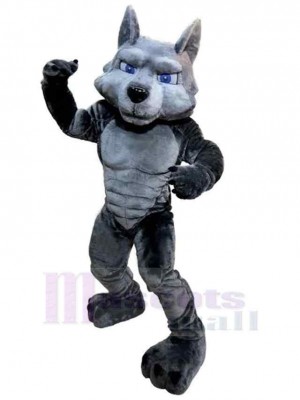 Puissance musculaire Loup gris Adulte Costume de mascotte Animal