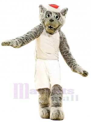 Loup gris professionnel Costume de mascotte Animal