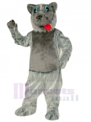 Loup costume de mascotte