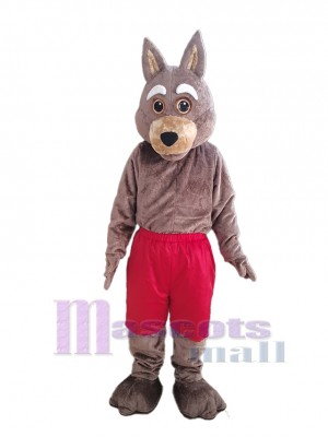 Coyote costume de mascotte