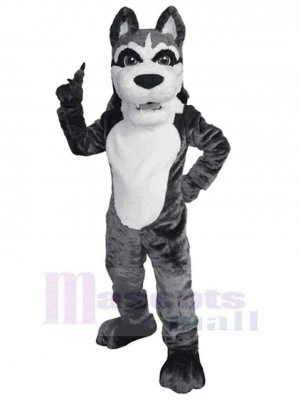Loup costume de mascotte