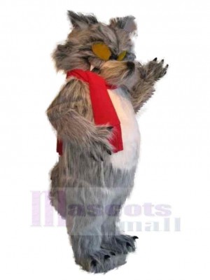 Loup costume de mascotte