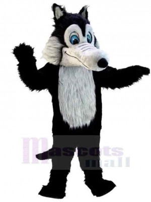 Loup costume de mascotte