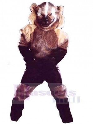 Loup costume de mascotte