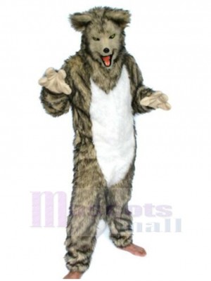 Loup costume de mascotte