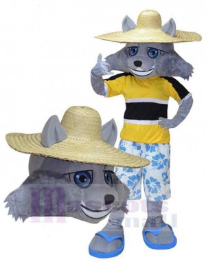 Loup costume de mascotte