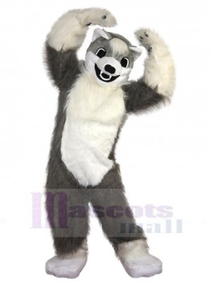 Joli loup blanc et gris Costume de mascotte Animal