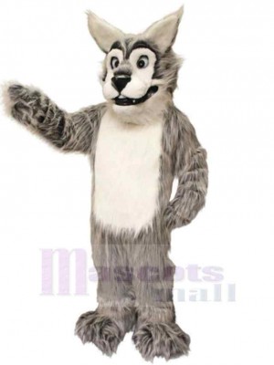 Loup costume de mascotte