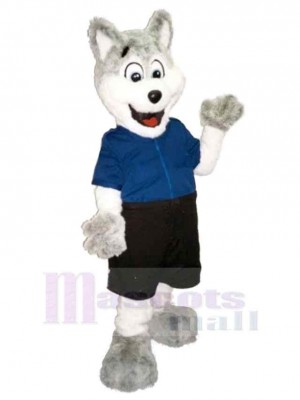 Loup blanc et gris mignon Costume de mascotte Animal en T-shirt bleu