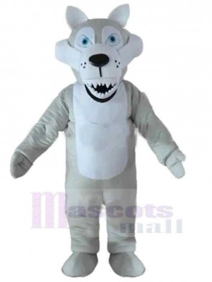 Loup costume de mascotte