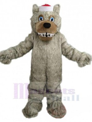 Loup costume de mascotte