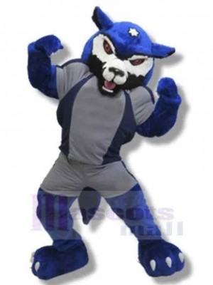 Collège de puissance Loup bleu Costume de mascotte Animal