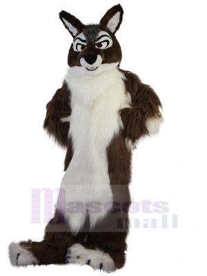 Loup costume de mascotte