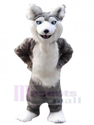 Haute qualité Loup gris et blanc Costume de mascotte Animal