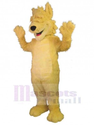 Loup costume de mascotte