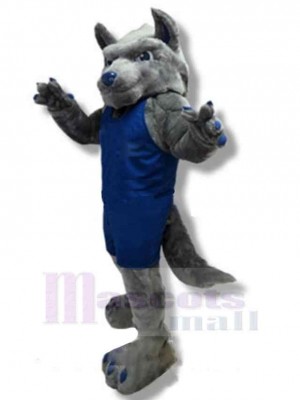 Loup du Collège fort Costume de mascotte Animal en vêtements de sport bleus