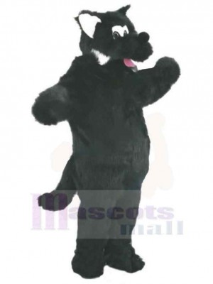 Loup noir coquin Costume de mascotte Animal