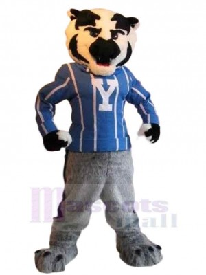 Tigre costume de mascotte