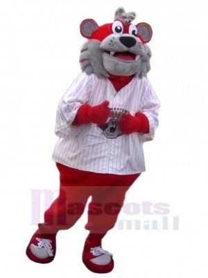 Tigre costume de mascotte