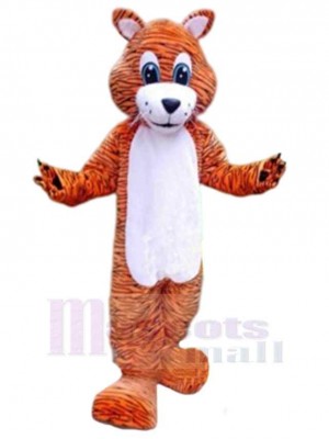 Tigre costume de mascotte