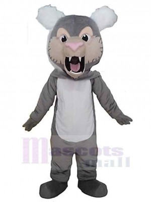 Tigre costume de mascotte