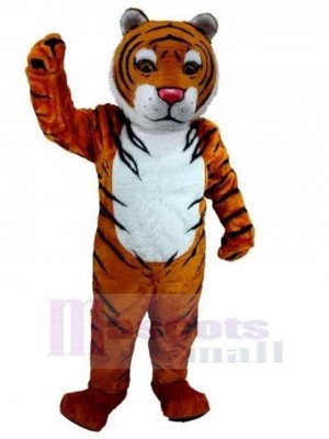 Tigre costume de mascotte