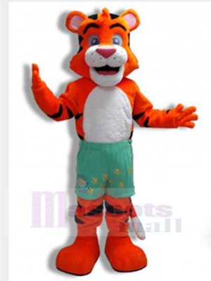 Tigre costume de mascotte