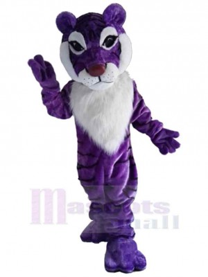 Tigre costume de mascotte