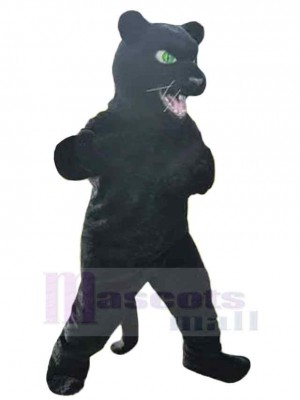 Panthère Yeux Verts Adulte Mascotte Costume Animal