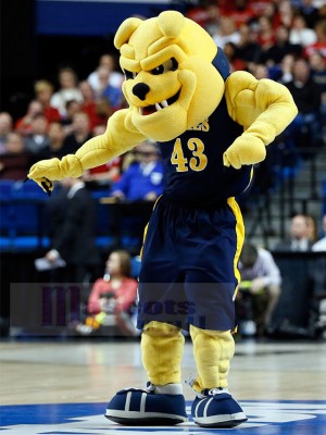 Chien costume de mascotte