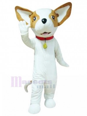 Chien costume de mascotte
