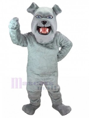 Chien costume de mascotte