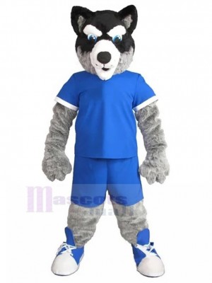Chien costume de mascotte