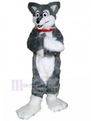 Costume de mascotte de Fursuit de chien Husky gris et blanc avec un animal à collier rouge
