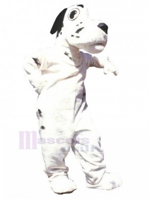 Chien costume de mascotte