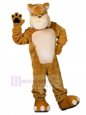 Chien costume de mascotte