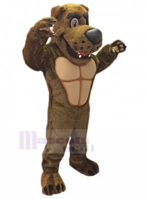 Chien costume de mascotte