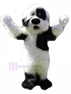 Chien costume de mascotte