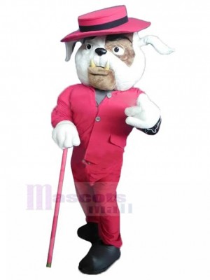 Costume de mascotte de gentleman bouledogue britannique blanc en manteau de sport rouge